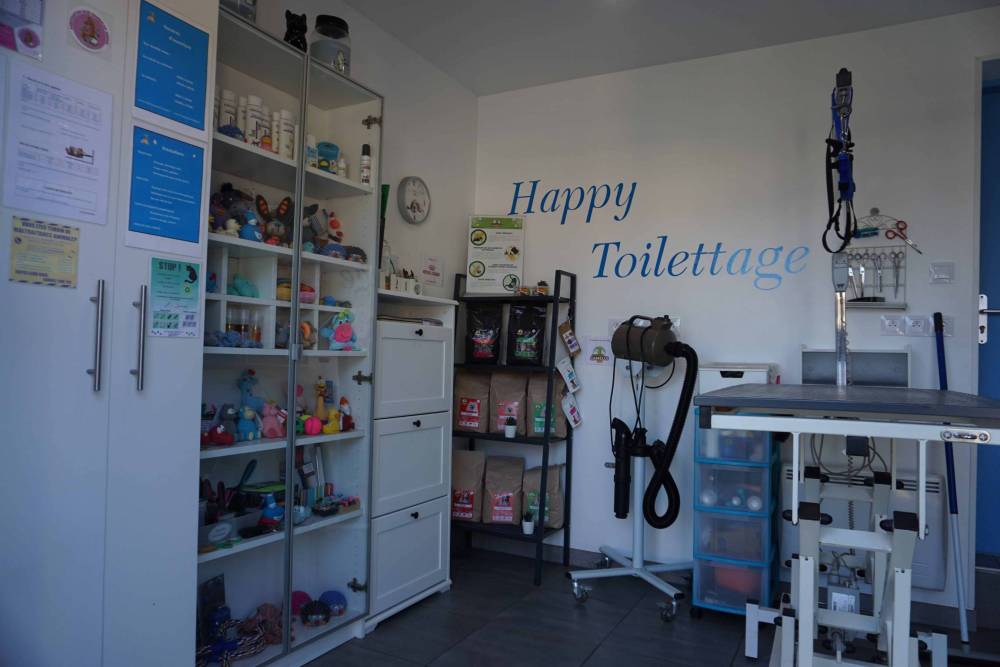Salon de toilettage (4)