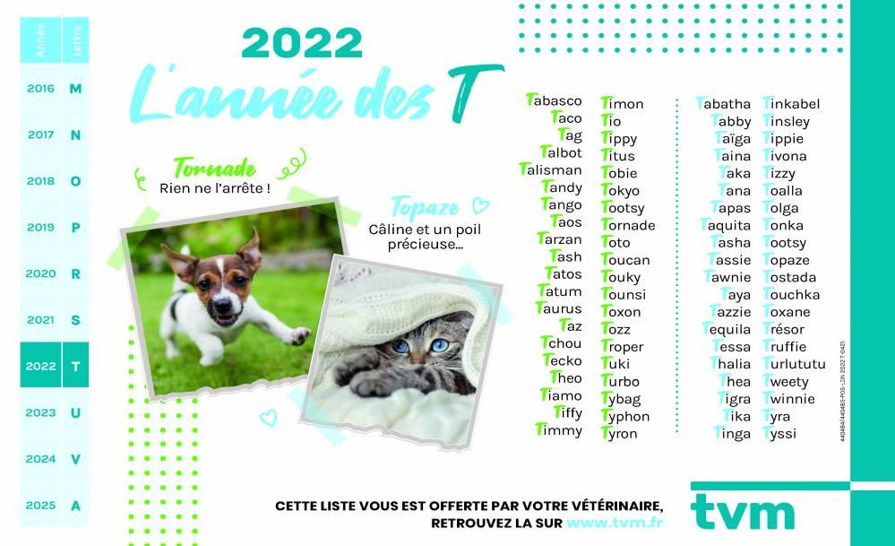 année des T