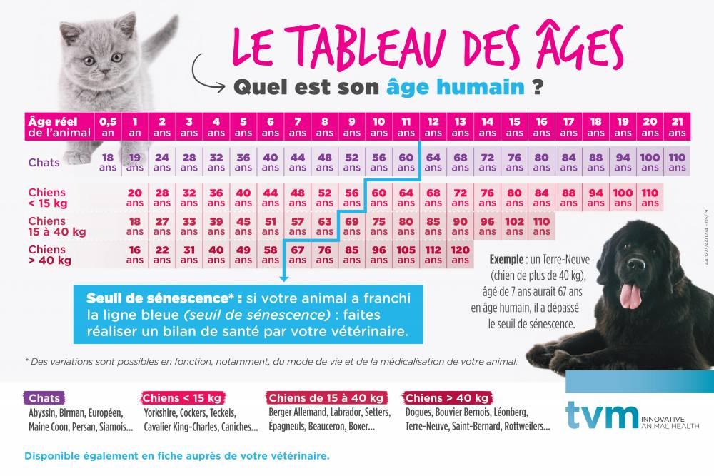 Tableau des ages
