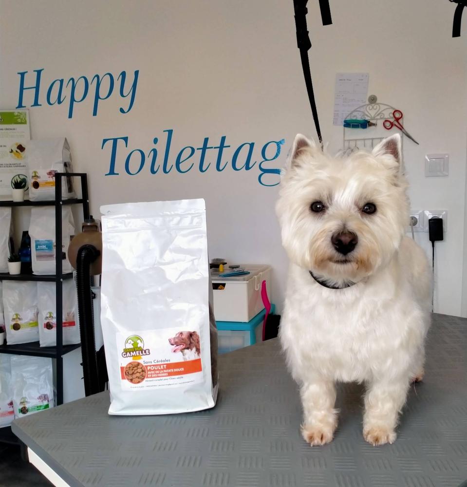 alimentation-chien